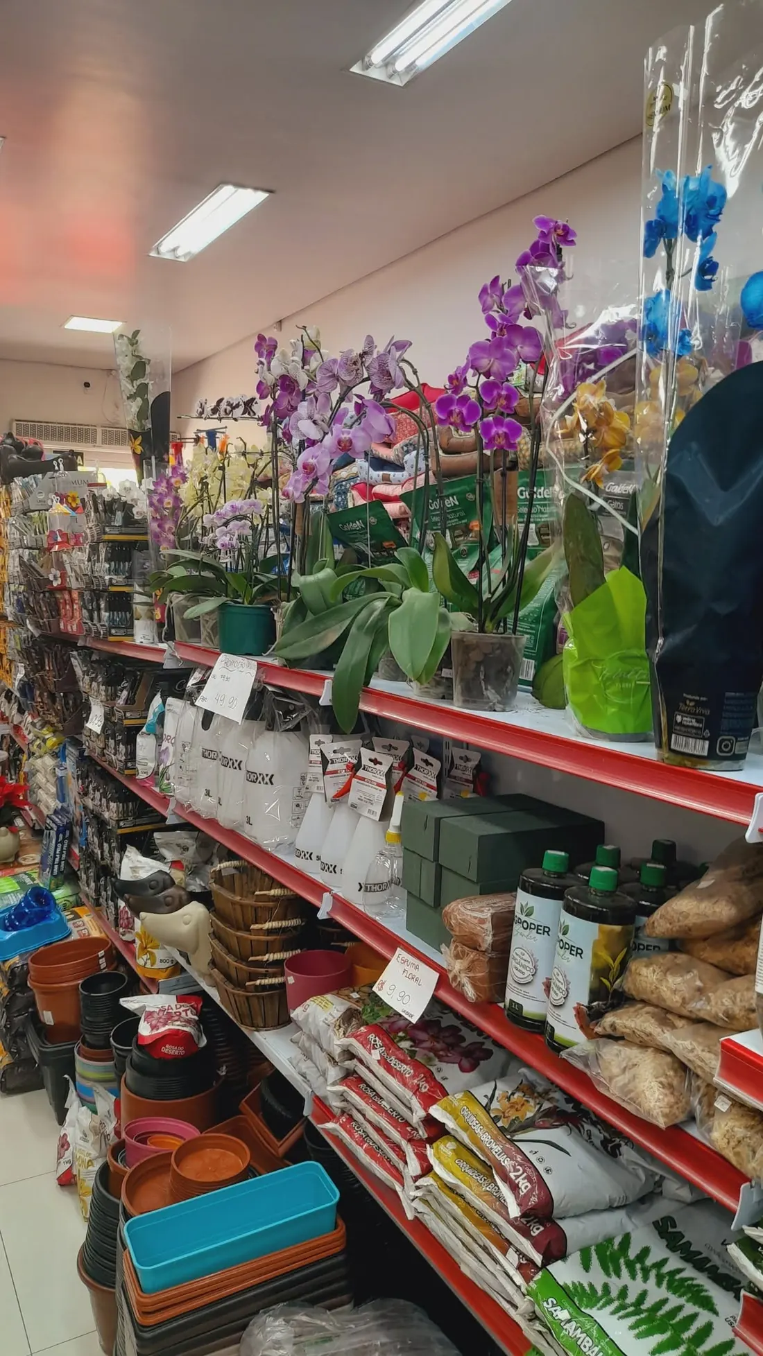 Prateleiras com plantas e produtos de jardim ao fundo